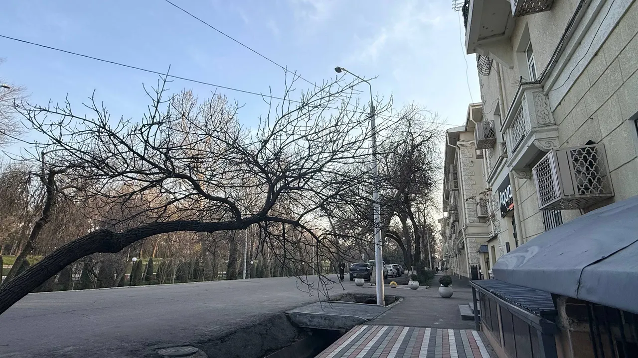 Cold anticyclone: Air quality in Tashkent may temporarily worsen