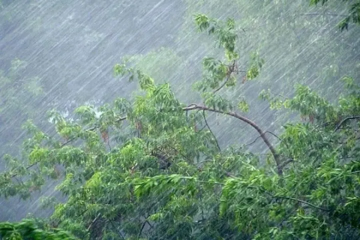 Heavy rain may be observed across the country on October 13-14